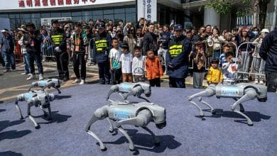 Robot Humanoid China