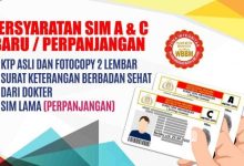 Jadwal kapal pelni