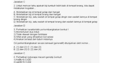 Mobil Bekas