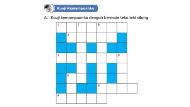 Kunci Jawaban