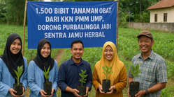 1.500 Bibit Obat Tradisional dari KKN PMM UMP, Jadi Pilar Sentra Jamu Beji Purbalingga 1 Obat Tradisional