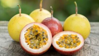 10 Manfaat Buah Markisa untuk Kesehatan dan Nutrisi 4 Presiden Prabowo