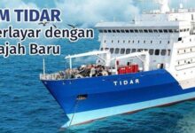 Jadwal Kapal Pelni KM Tidar November 2025: Rute Lengkap dari Kupang ke Kijang, Tiket Mulai Rp662 Ribu 88 KM Tidar