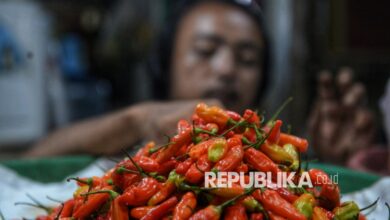 Bapanas: Pekan Ketiga Ramadhan Jadi Titik Balik Harga Cabai Rawit 17 Bapanas