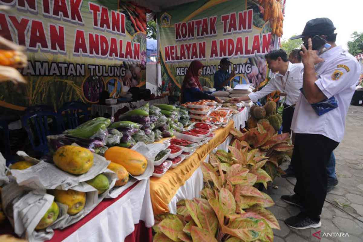 Jogja Agro Park Jadi Pusat Pertanian Yogyakarta 1